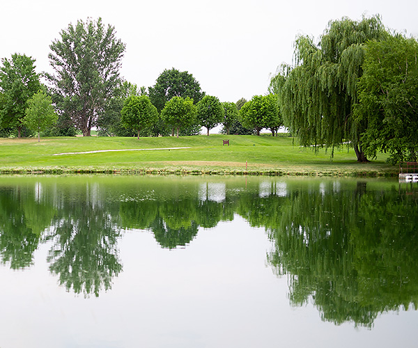 Looking over the pond from seven green to six tee box.